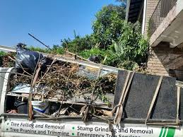Best Shed Removal  in Kountze, TX